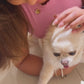 Infinity Love Paw Necklace - Sara Saltos Jewelry